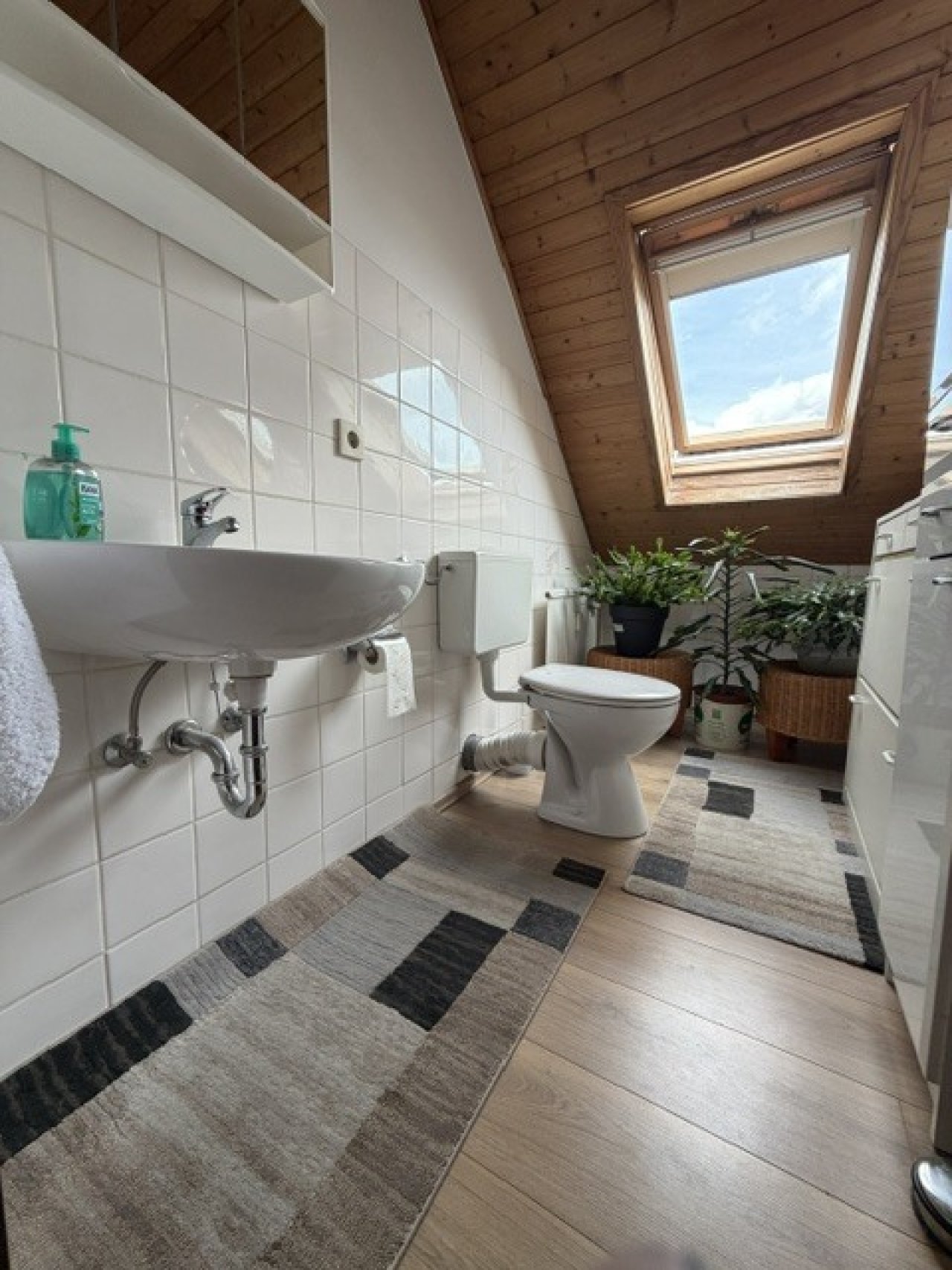 . Gäste- WC . Gäste- WC